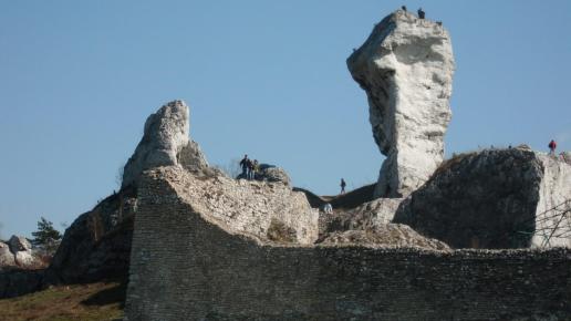 zamek i jurajskie ostańce ta i 12 kolejnych fot, mokunka