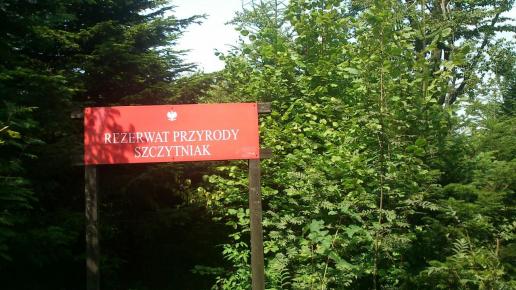 Szczytniak, Sylwia Góraj