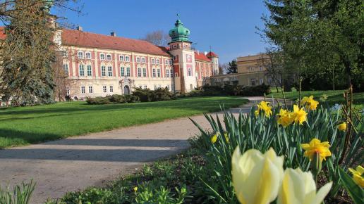zamek w Łańcucie