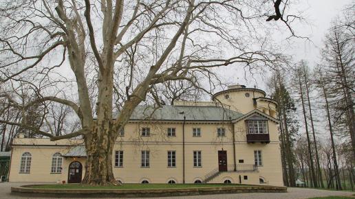 Pałac w Zarzeczu