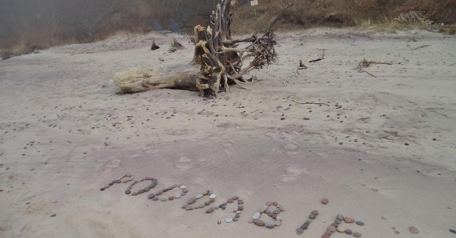 Mgła w Poddąbiu - zdjęcie