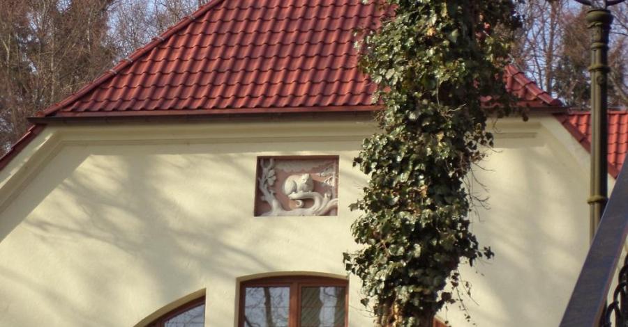 Waldkater-Leśny Kot - zdjęcie
