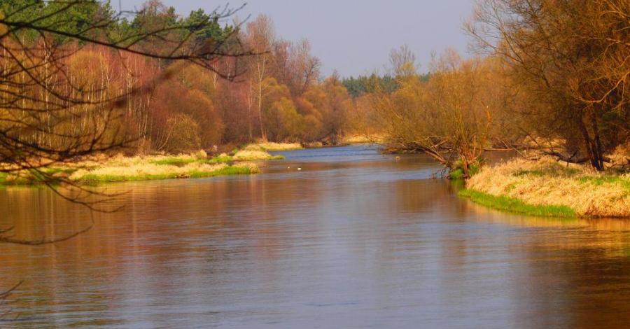 Szlak Jury Wieluńskiej - Ważne Młyny - Kule - Wąsorz Górny - Działoszyn - trasa 876 - zdjęcie