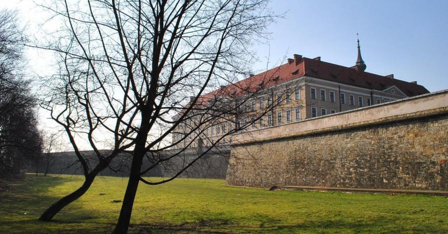 Rzeszów z różowym plecakiem. - zdjęcie