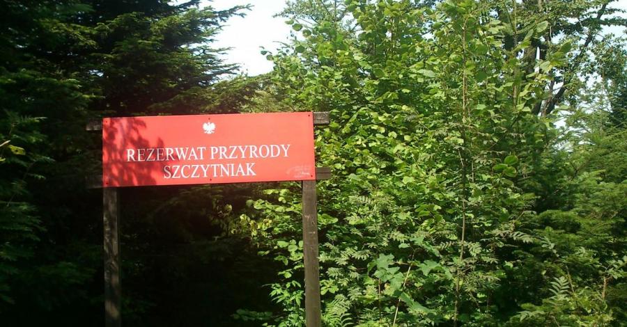 Szczytniak . Pasmo Jeleniowskie , Góry Świętokrzyskie - zdjęcie