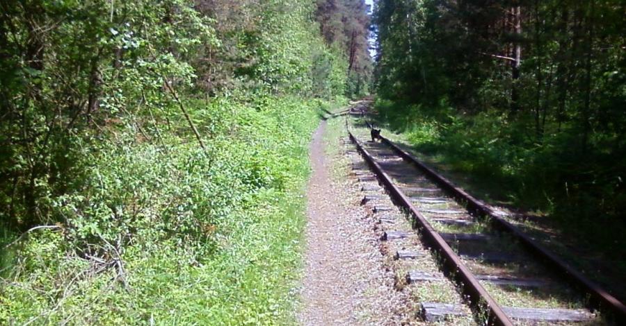 Kolonia Inwalidzka - Starachowice - zdjęcie