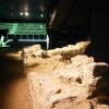 The Guidehall Gallery, Danusia