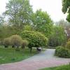 park K i W, Danusia