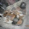 British Museu,ekspozycje,Ginger,najstarsza mumia człowieka,ma ponad 5 tys.lat, Danusia
