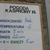 Te minus 6 stopni to jakby żart!, Danuta