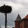 Tykocin, kasia ejsmont