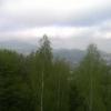 , mokunka