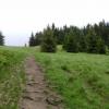 Polanka pod Bendoszką Wlk, DoRi