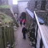 , marian