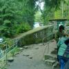 , marian
