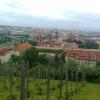 , marian