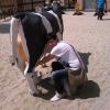 , marian