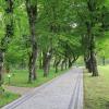 Park przy pałacu