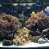 W Oceanarium, Marcin_Henioo
