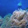 W Oceanarium, Marcin_Henioo
