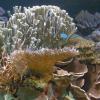 W Oceanarium, Marcin_Henioo