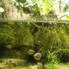 W Oceanarium, Marcin_Henioo