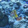 W Oceanarium, Marcin_Henioo