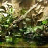 W Oceanarium, Marcin_Henioo