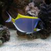 W Oceanarium, Marcin_Henioo