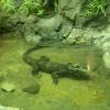 W Oceanarium, Marcin_Henioo
