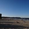Sopocka plaża, Marcin_Henioo