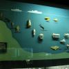 W Oceanarium, Marcin_Henioo