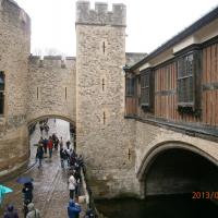 Tower, Danusia