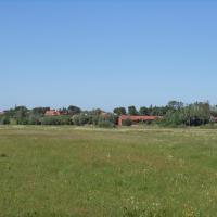 widok na panoramę Bruskowa, Danusia