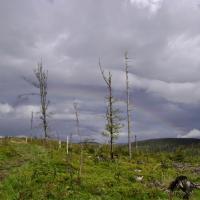 Piękna tęcza nad Beskidem Śląskim, DoRi