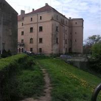 , marian