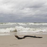 Karwieńska plaża- wyrzucony na brzeg, Marcin_Henioo