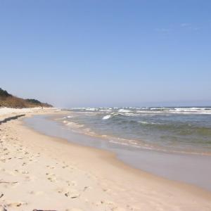 Karwia