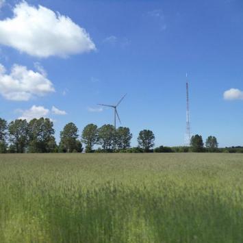 w stronę Bruskowa, Danusia