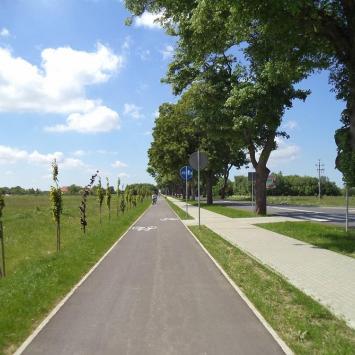 ścieżka rowerowa w stronę Bruskowa, Danusia