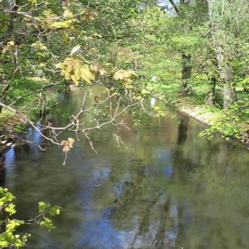 Słupia-widok z mostu, Danusia