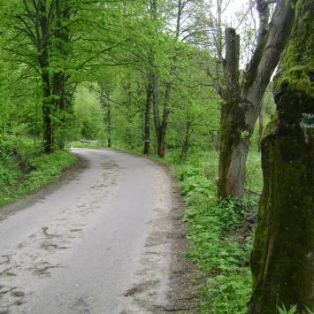 Szlak zielony do Rycerki Dolnej, DoRi