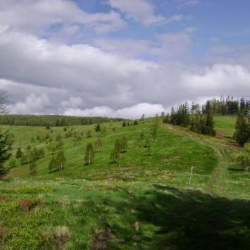 Magurka Radziechowska, DoRi