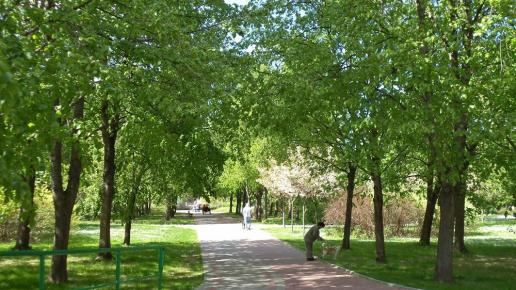 park K i W, Danusia