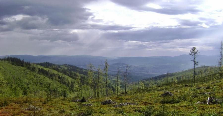 Czerwonym szlakiem na Baranią Górę - zdjęcie
