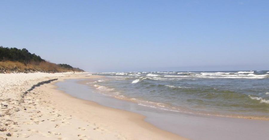 Karwia - zdjęcie