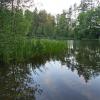 jeziorko, Danusia