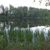 jeziorko, Danusia