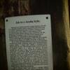 Historia Anuli, Tadeusz Walkowicz