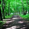 Park Zielona, Roman Świątkowski